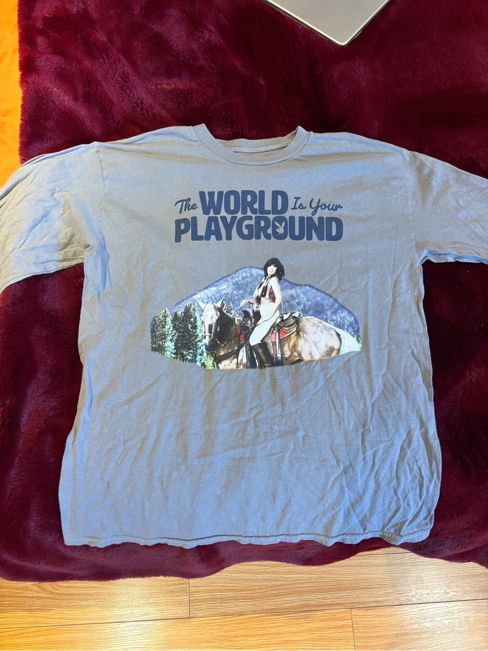 PLAYBOY Grey Graphic Long Sleeve